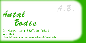 antal bodis business card